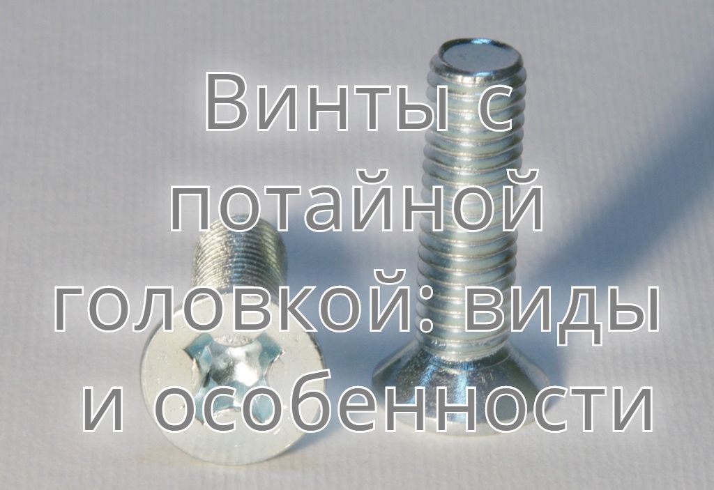 Винты с потайной головкой: виды и особенности Винты с потайной головкой: виды и особенности