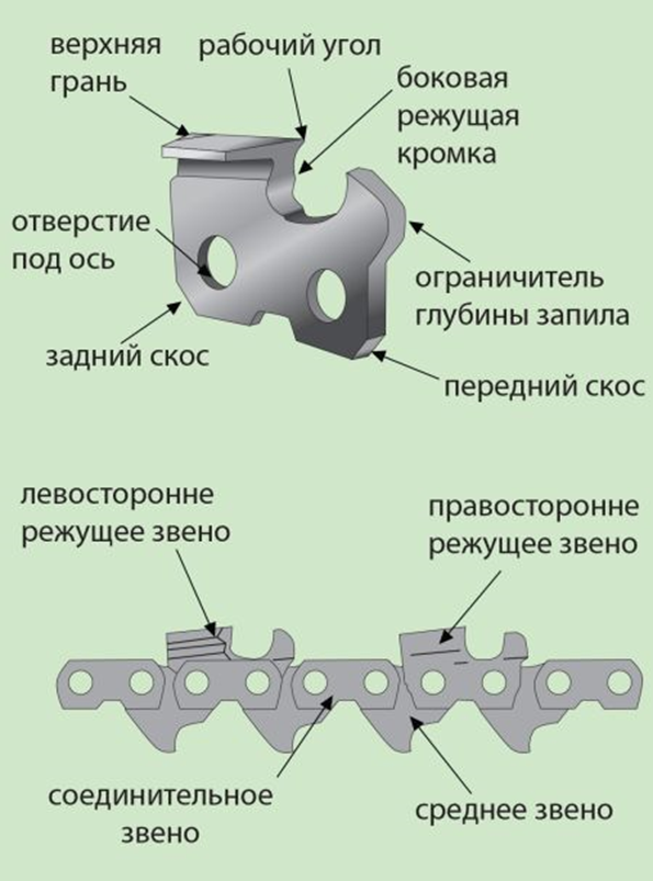 Установка Цепи На Бензопилу Направление Зубьев Фото