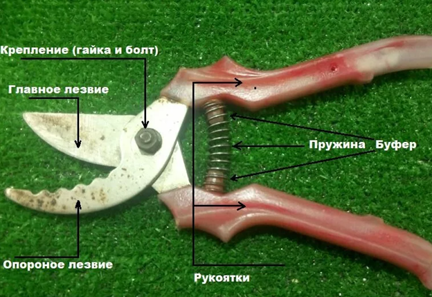 Заточка секатора садового. Конструкции секаторов садовых. Угол заточки секатора. Точилка для садового секатора.