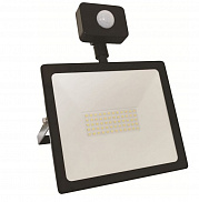 Прожектор светодиодный LED 50W FL5 S ECON с датчиком движения - фото