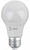Лампа светодиодная LED, груша (A50-A65), 15 Вт, E27, 2700K тёплый RED LINE LED  ЭРА