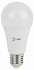 Лампа светодиодная LED, груша (A50-A65), 15 Вт, E27, 4000K нейтрал. RED LINE LED  ЭРА